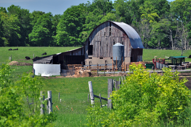 barn